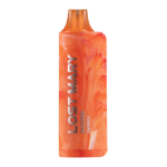 Energize Lost Mary MO5000